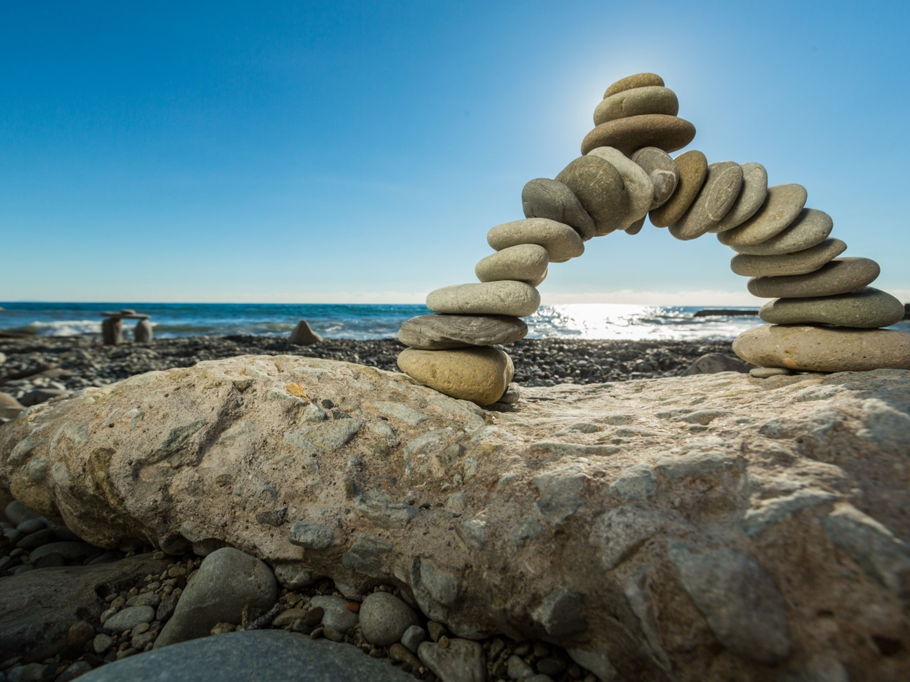 Transforming Your Mind through Mindfulness and Meditation (Free Community Webinar)