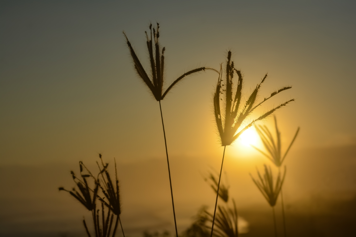 Caregiver Burnout (Free Community Webinar)