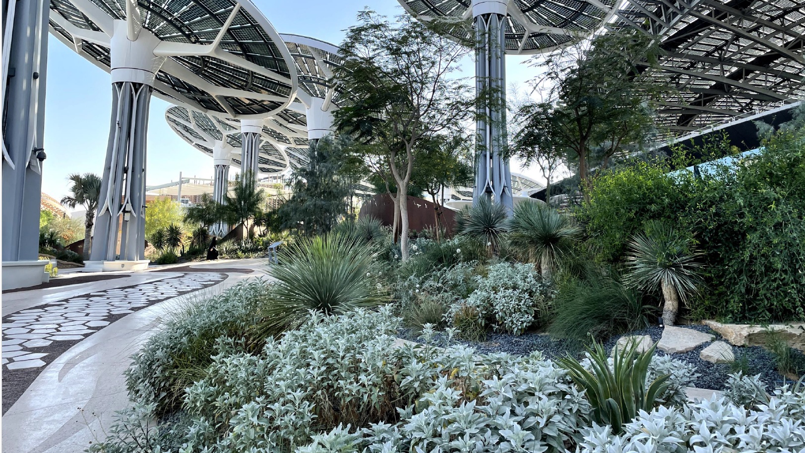 Urban Nature Walk at Terra - Expo City (for Dubai 30x30)