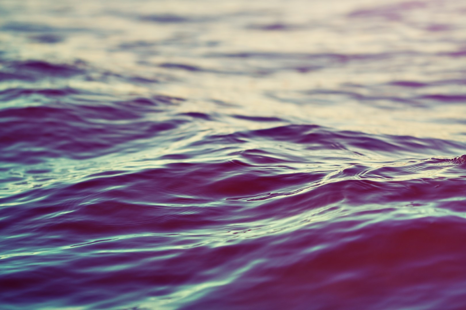 Navigating Distressing & Uncertain Times (Free Webinar)