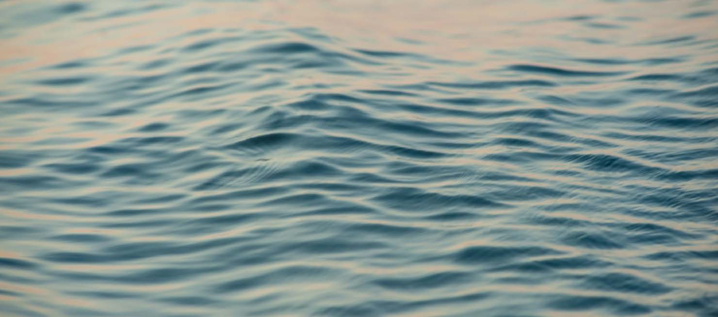 Steady Within: Building Capacity for Uncertainty ( Free Community Webinar)